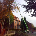 Omme Raupensteiger